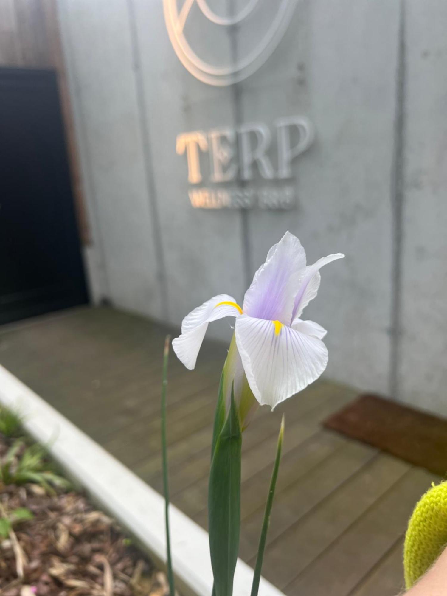 Bed and Breakfast Terp Poperinge Esterno foto
