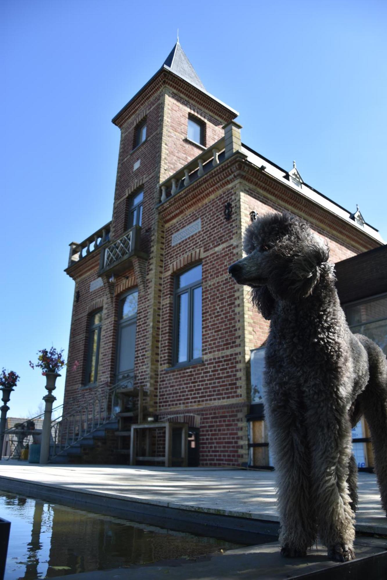 Bed and Breakfast Terp Poperinge Esterno foto