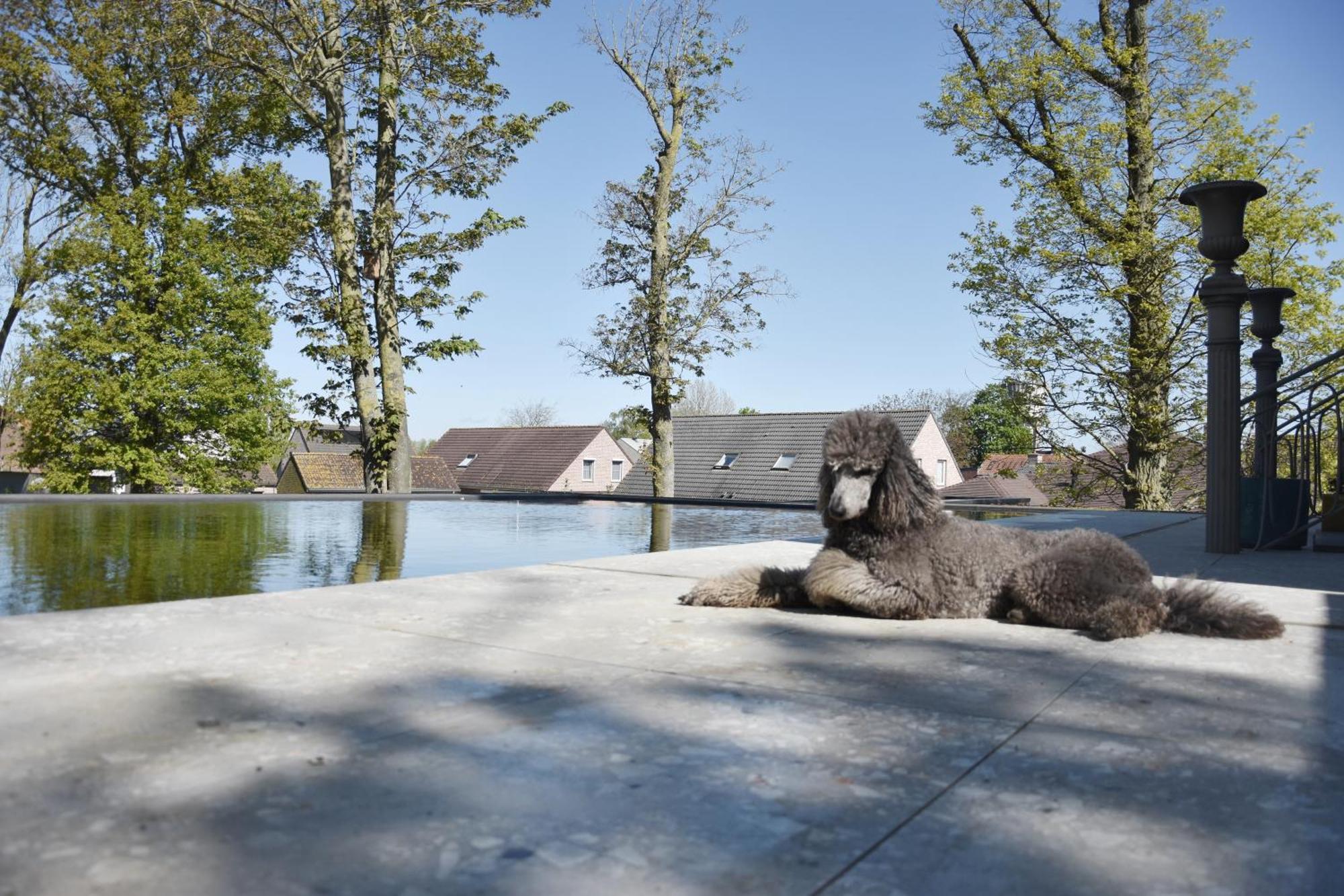 Bed and Breakfast Terp Poperinge Esterno foto